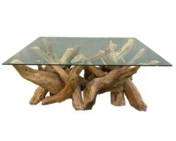 Table Basse Vitrée En Racine De Teck Naturel Recyclé "Farmer"